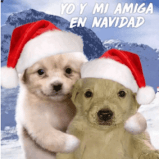 STICKERS PERRITOS NAVIDEÑOS🐶🎄 10