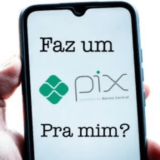 Cadê meu pix? 10