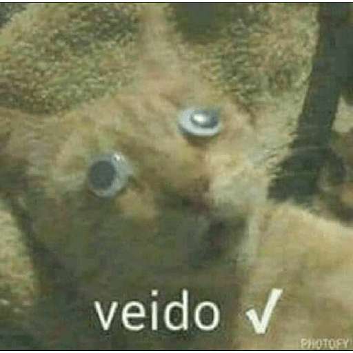 Gatitos 20