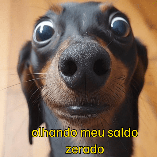 Cadê meu pix? 14