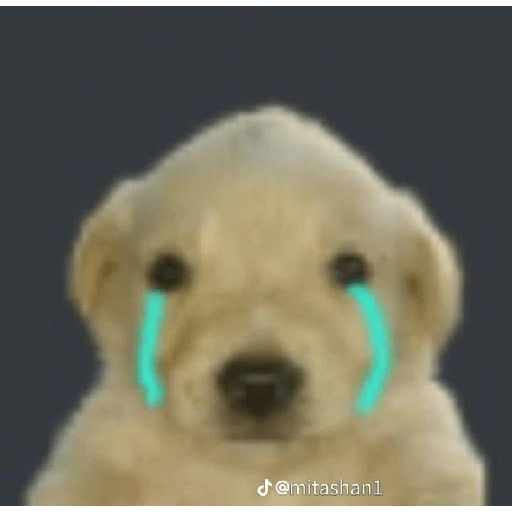 Xdd 5