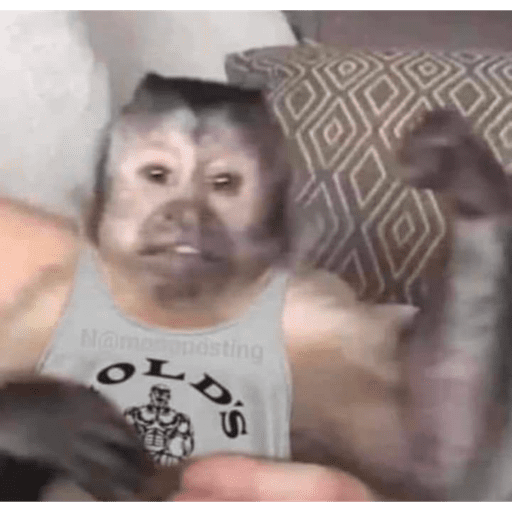 Monkey 2