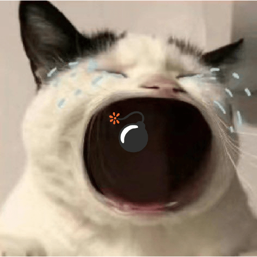 Meme kucing 3