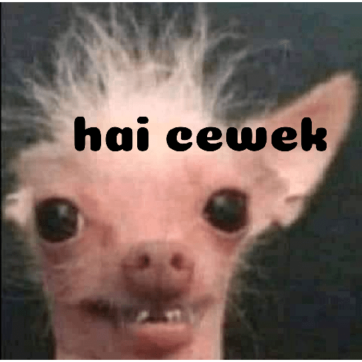 Meme kucing 7