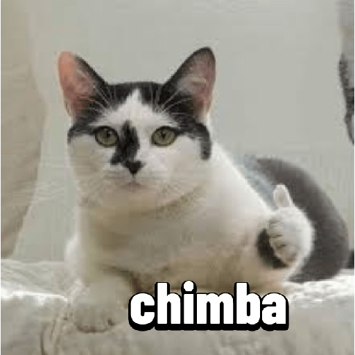 Grosería Colombiana 7