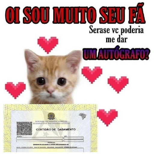 Gatinhos  28