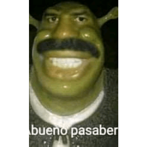 Wtf xd 24