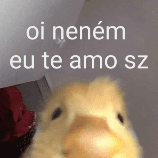 Dia dos namorados | amor ❤️ 15