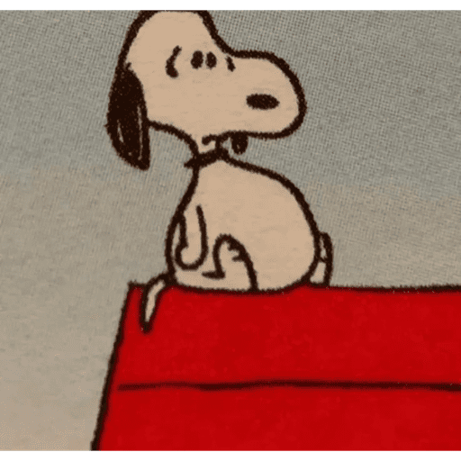 Snoopy 2  12