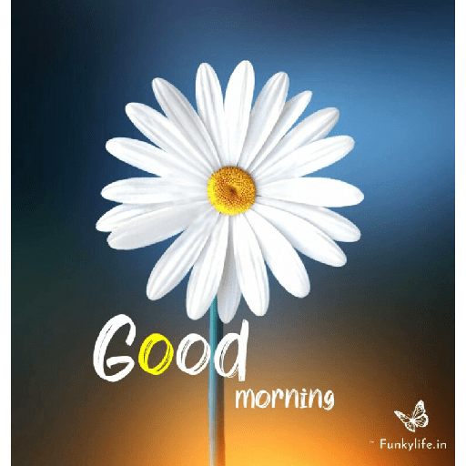 Good morning 28