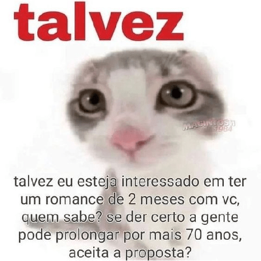 Gatinhos  25