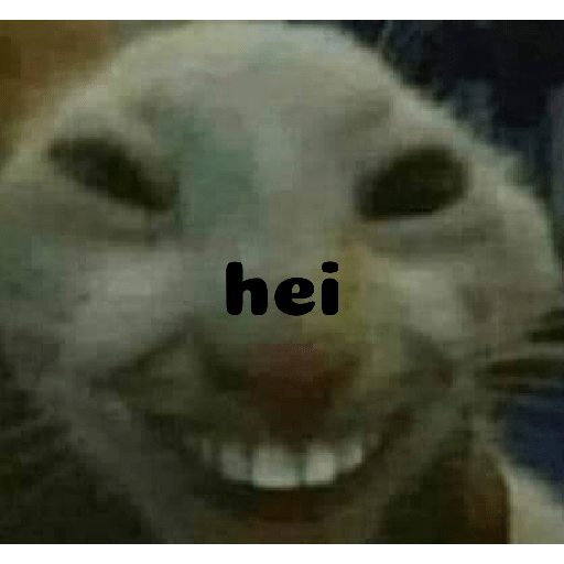 Meme kucing 4