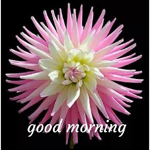 Good morning 22