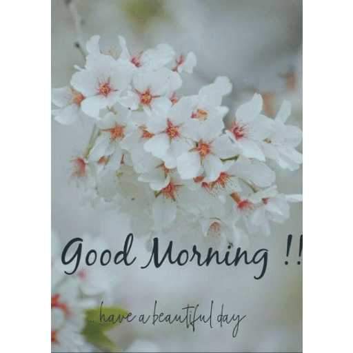 Good morning 30