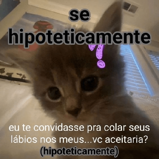 Gatinhos  26