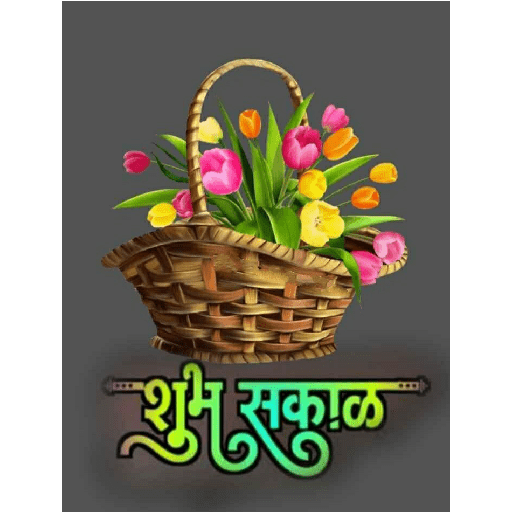 Good morning 23