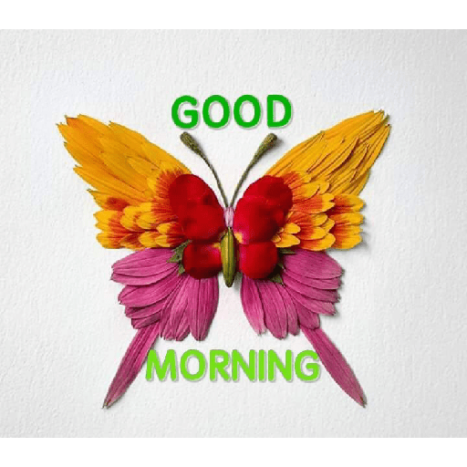 Good morning 25