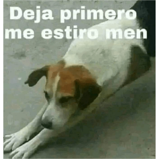 Yayamijoya 8