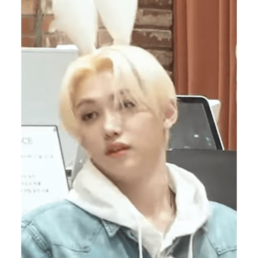 Stray kids.41 27