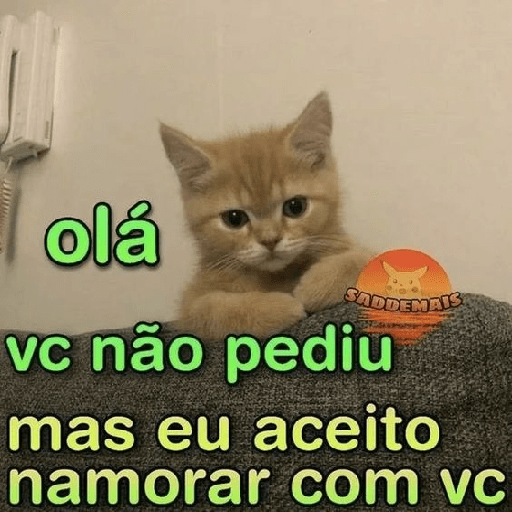 Gatinhos  27