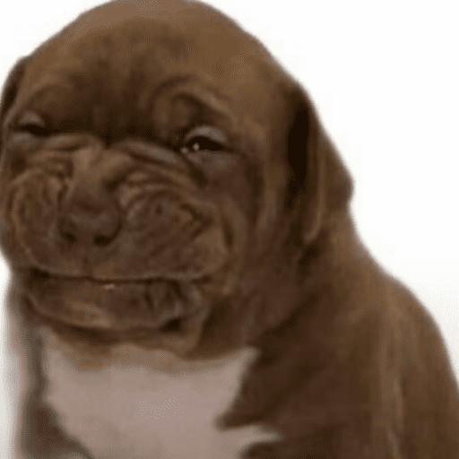 Random memes  21