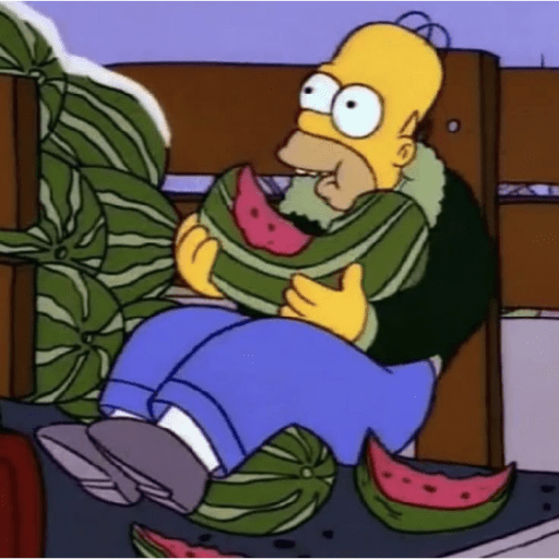 Los Simpson. 17