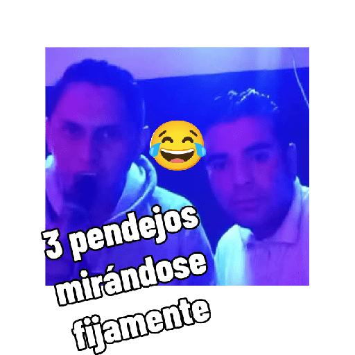 Mis bebes 19