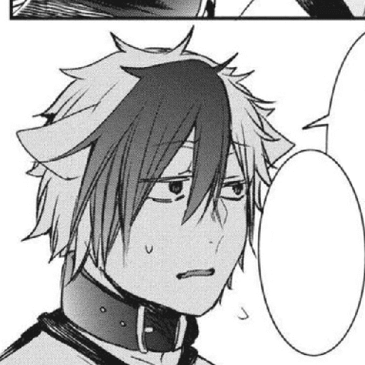 Akisame Tamao : Manga 14