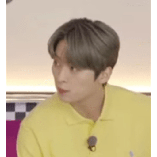 Stray kids.41 20