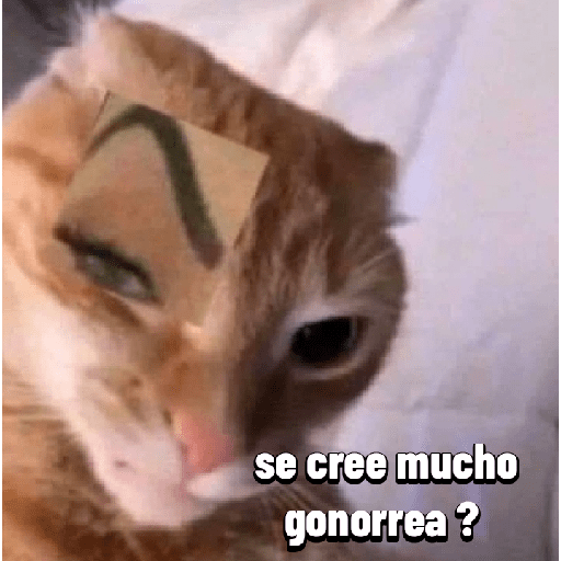 Grosería Colombiana 8