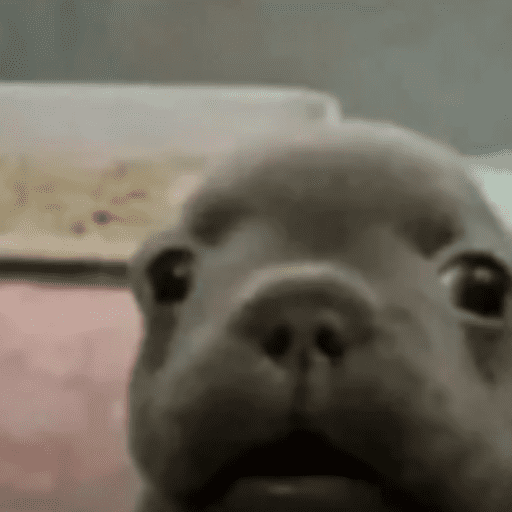 Random memes  25