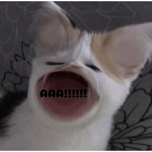 Meme kucing 1