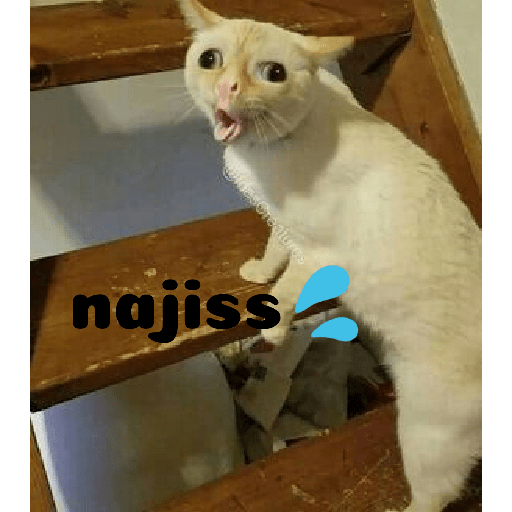 Meme kucing 21