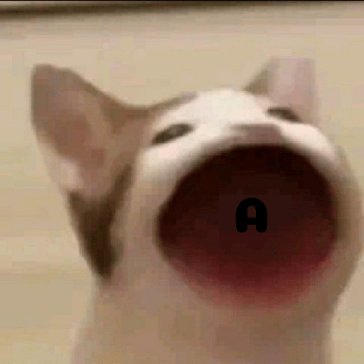 Meme kucing 16