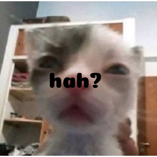 Meme kucing 2