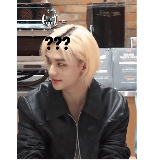 Stray kids.41 25