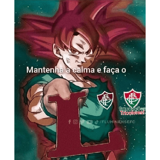 Fluminense  2