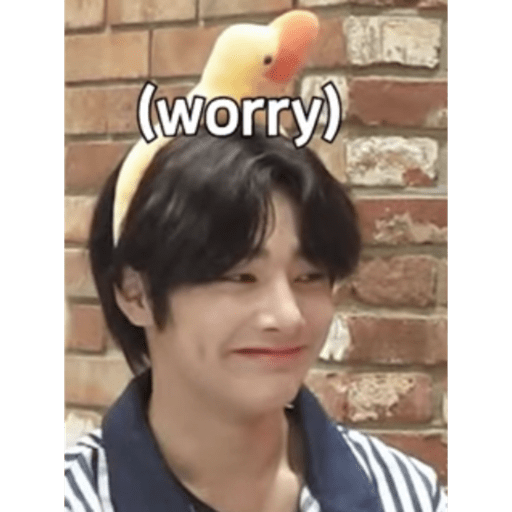 Stray kids.41 29