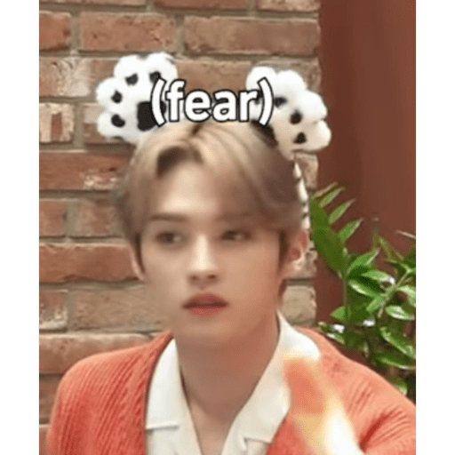 Stray kids.41 30