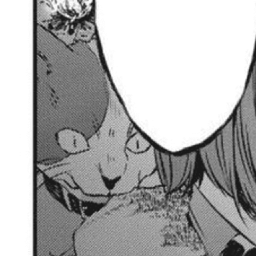 Akisame Tamao : Manga 1