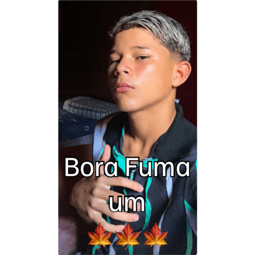 Figurinha  1