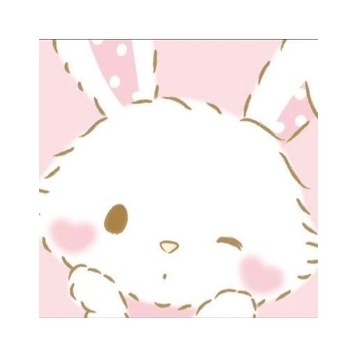 Sanrio bunnies.   ✩ 16