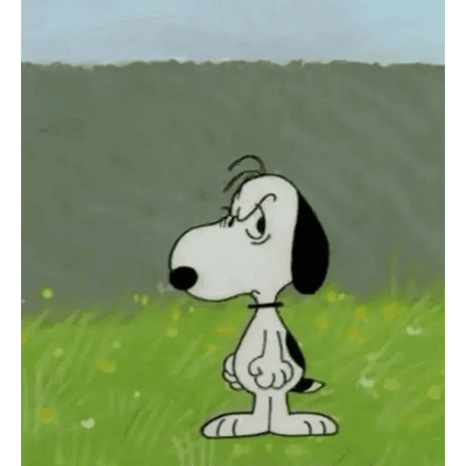 Snoopy 2  13