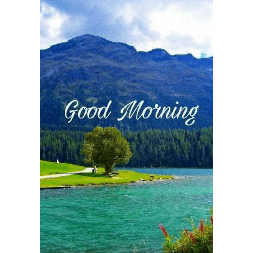 Good morning 24