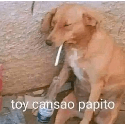 Yayamijoya 7