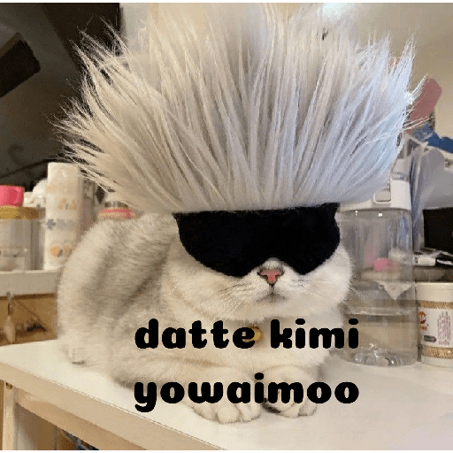 Meme kucing 20