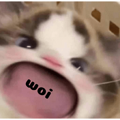 Meme kucing 17