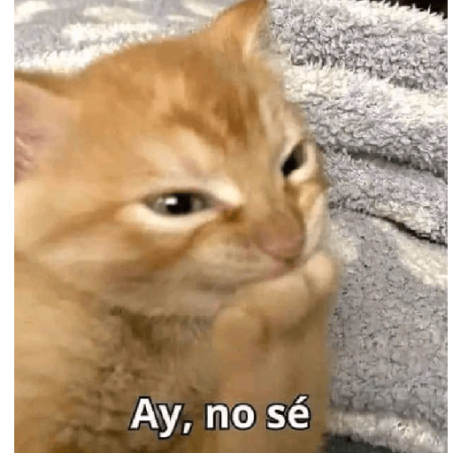 Yayamijoya 12