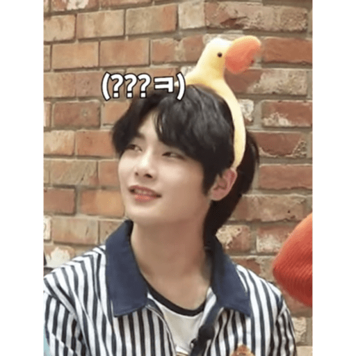 Stray kids.41 28