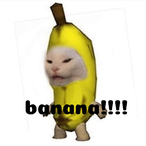 Meme kucing 5
